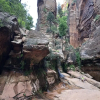 Отель Zion Cliff Lodge, фото 19