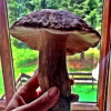 Отель Pensjonat Czarny Koń, фото 6