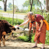 Отель Farmer's Villa - Best Farm Stay as per Guest's Reviews, фото 24