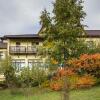 Отель Pension Casa cu Tei, фото 5