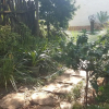 Отель Since 2006 African Silhouette Offers Safe, Tranquil and Highly Recommended Stays, фото 20