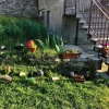 Отель Guest house chavchavadze N23, фото 10