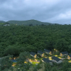 Отель Grape County Resort, фото 41