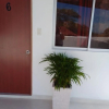 Отель Casa Don Arturo, фото 35
