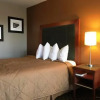 Отель Chestnut Tree Inn, фото 4