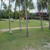 Отель Honey Badger Hut Langkawi - Hostel, фото 10