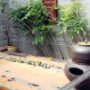 Отель Zhengfang Inn, фото 22