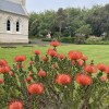 Отель Convent at Koroit, фото 44