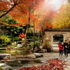 Отель 铜陵易安居, фото 3