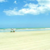 Отель Ocean Village Club N16 - One Bedroom Condo, фото 18