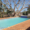 Отель Msitu Kwetu Lodge & Safaris, фото 15