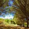 Отель Splendido appartamento residence Cala Rossa, фото 12