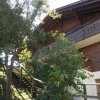 Отель Apartment Halten Zweisimmen, фото 14