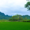 Отель Pomelo Homestay, фото 32