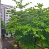 Отель Rio Spot Apartment T011, фото 1