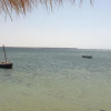 Отель Dar Ali, фото 19