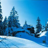 Отель Pension und Gasthof Eibl, фото 9