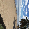 Отель Seashell Beach Resort, фото 20