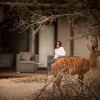 Отель Moditlo River Lodge, фото 18