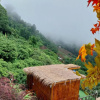 Отель MonLomNao Homestay, фото 23