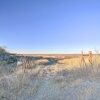 Отель The Little Alsatian House: 18 Miles to San Antonio, фото 3