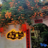 Отель Fengming Shanju Hongcun Sleepless Homestay, фото 1