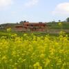 Отель The Little House In The Ricefields, фото 12