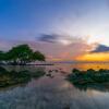 Отель Tropica Gili Hotel, фото 16