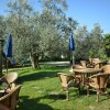 Отель Farmhouse in a Lovely Park Near Florence With Beautiful Pool Among Olive Trees, фото 21