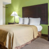 Отель Quality Inn & Suites, фото 33
