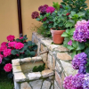 Отель Casas Rurales Entrecastaños, фото 16
