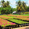 Отель Flower Village Homestay, фото 13
