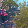 Отель Les Palmiers, фото 19