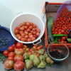 Отель B&B Masia Rovira, фото 9