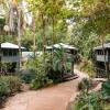 Отель Ferntree Rainforest Lodge, фото 19