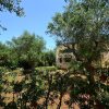 Отель Scenic Holiday Home in Tricase Amidst Olive Trees, фото 8