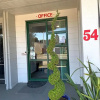 Отель Temuka Motel, фото 1