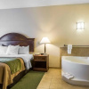 Отель Comfort Inn, фото 18