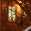 Отель Hostal Copart, фото 17
