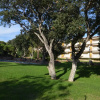 Отель Apartamentos Royal S´Alguer, фото 23