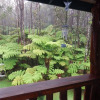 Отель Aloha Crater Lodge and Lava Tube, фото 8
