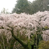 Отель Arima Onsen Abrigo, фото 14
