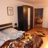 Отель Pensiunea Nagy, фото 4