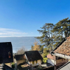 Отель Le grand duplex du lac, фото 1