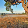 Отель DreamZzz B&B Kaatsheuvel, фото 5