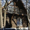 Отель White Tree Lodge, фото 24
