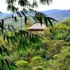 Отель Terrabambu Lodge, фото 19