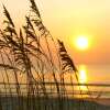 Отель Ocean Coast Hotel at the Beach Amelia Island, фото 7