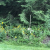 Отель The Ashe Farm Bed & Breakfast, фото 46