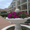 Отель Maisonettes in Royal Bay Residence&SPA 2, фото 8